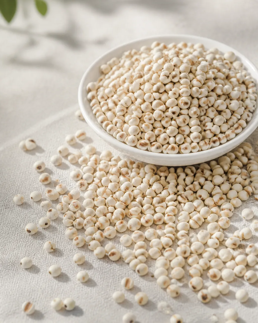 Dried Chinese barley Job’s tears for tea at PULSE TCM