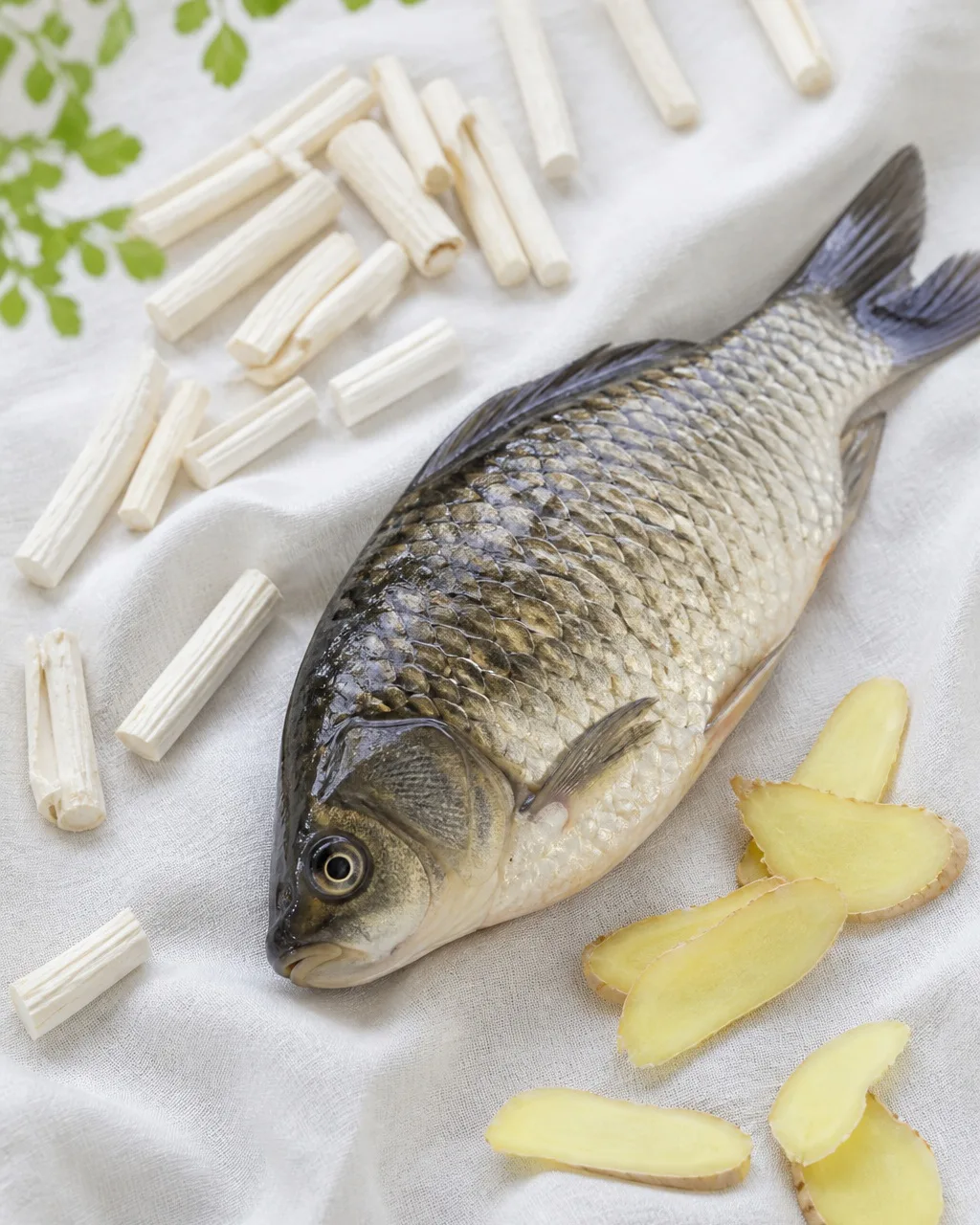 Crucian carp, rice paper pith, and ginger for soup at PULSE TCM