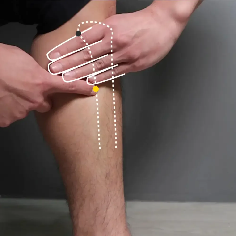Four-finger measure from SP9 down the inner shin to Di Ji SP8, marked with a yellow dot beside the medial tibia