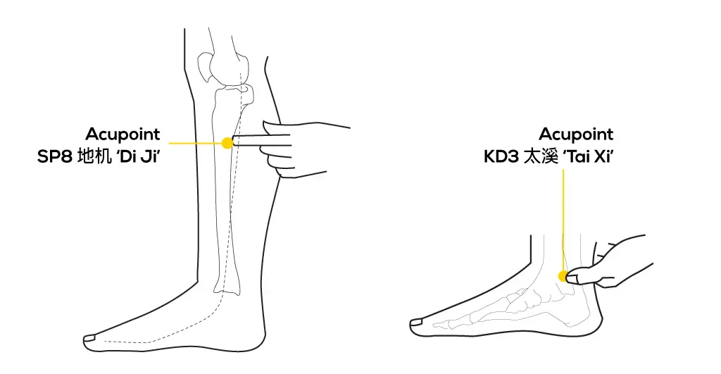 Line diagram locating Di Ji SP8 on the inner calf and Tai Xi KD3 at the ankle