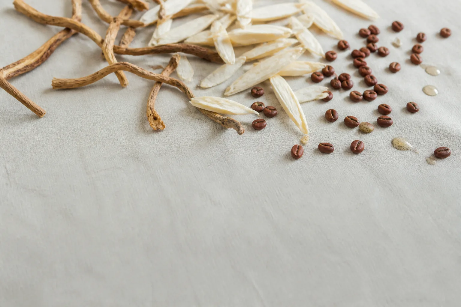 Dried polygala root, ophiopogon slices, and spine date seeds for Dreamful Sleep Tea at PULSE TCM