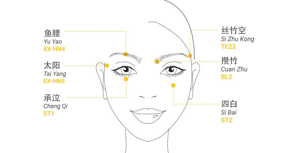 Face diagram labeling Yu Yao Tai Yang Cheng Qi Si Zhu Kong Cuan Zhu Si Bai