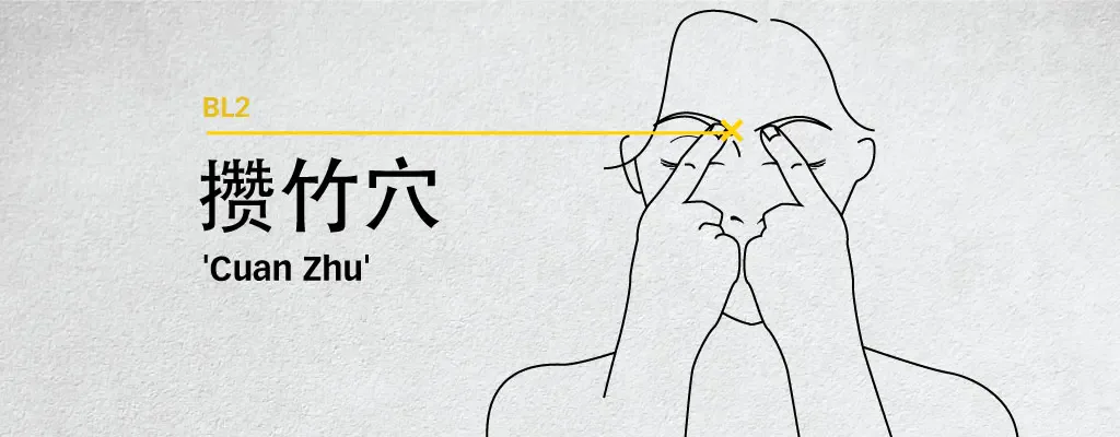 Line diagram locating Cuan Zhu BL2 at the medial end of the eyebrow