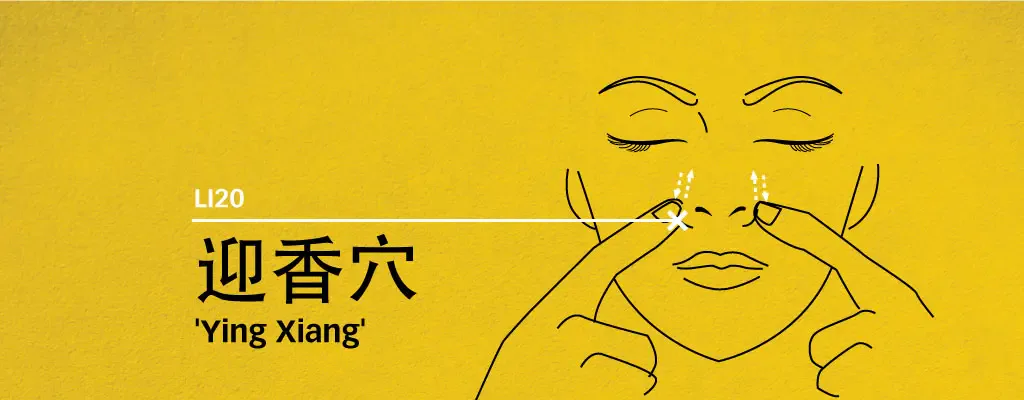 Line diagram locating Ying Xiang LI20 beside the nostril with up-down arrows