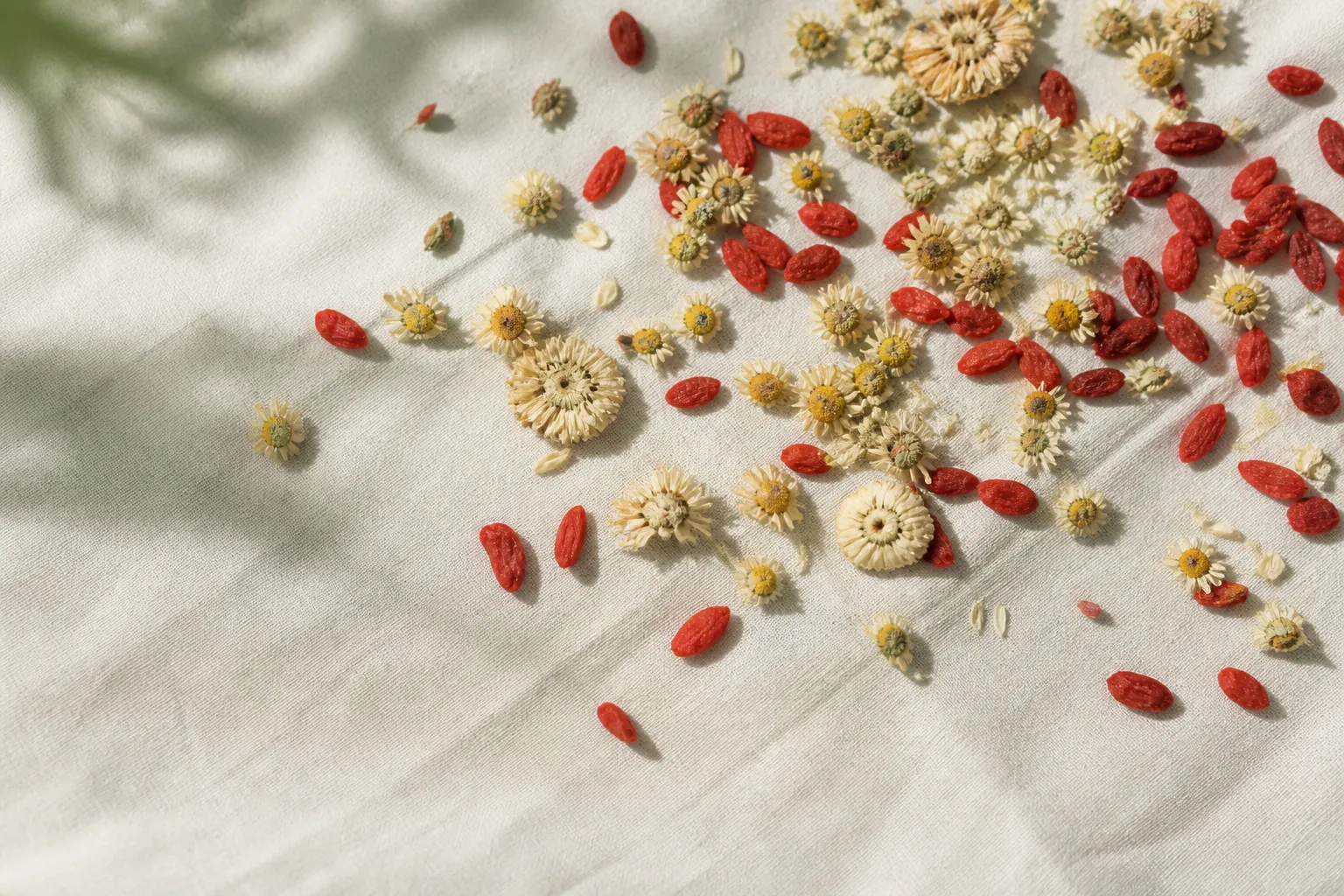Dried chamomile, chrysanthemum, and wolfberries for acne-prone skin tea at PULSE TCM