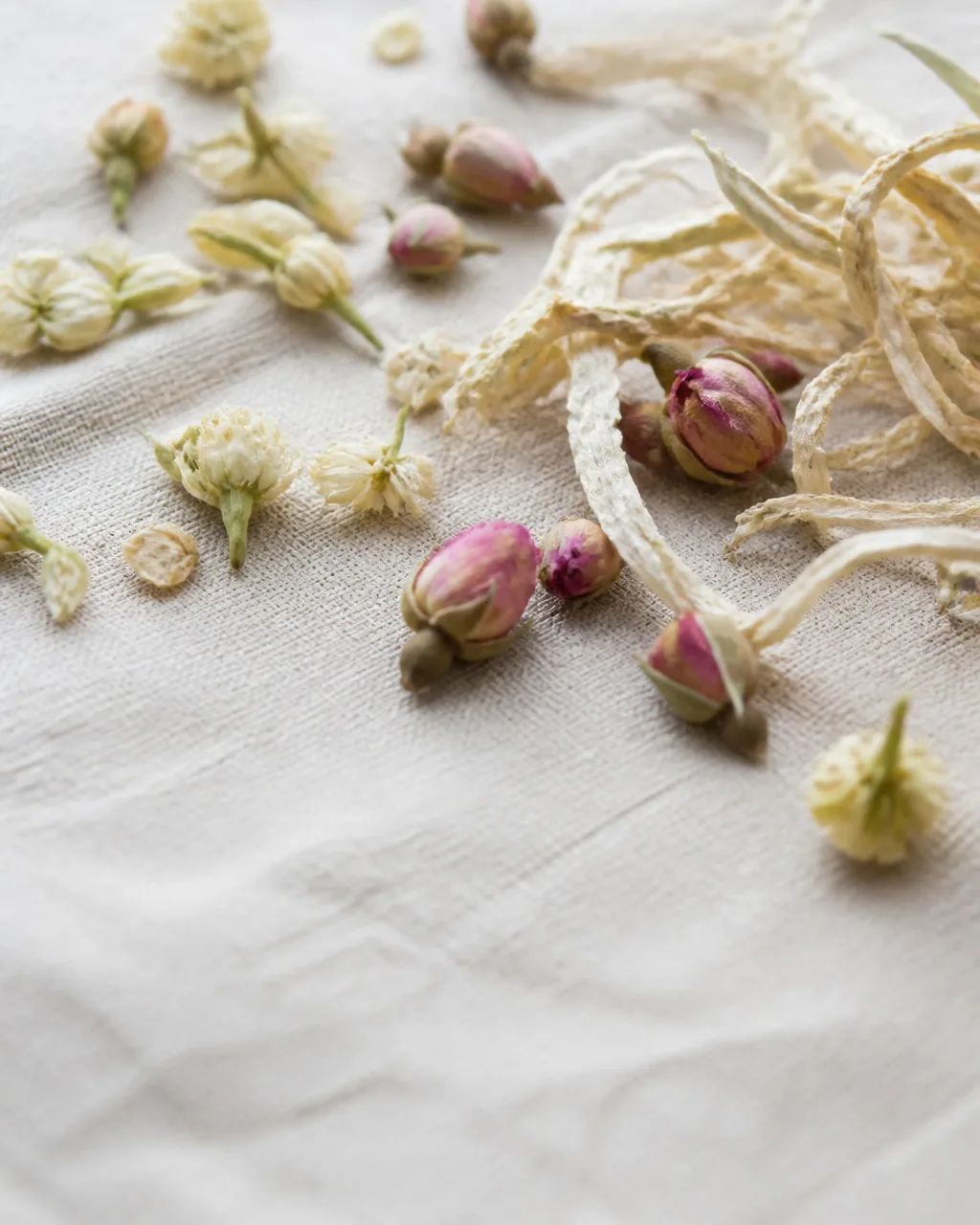 Dried jasmine, rose buds, and tangerine pith for tea at PULSE TCM