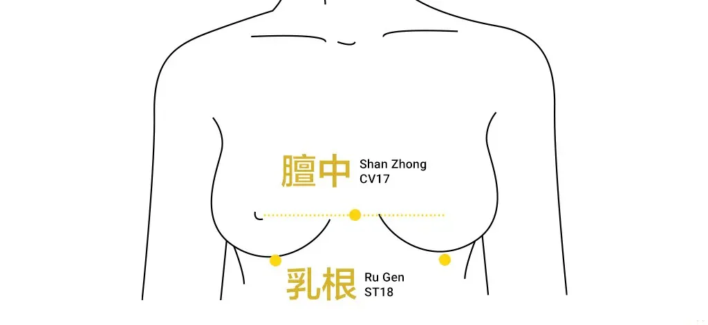 Teaching diagram locating Ru Gen ST18 and Shan Zhong CV17 on the chest