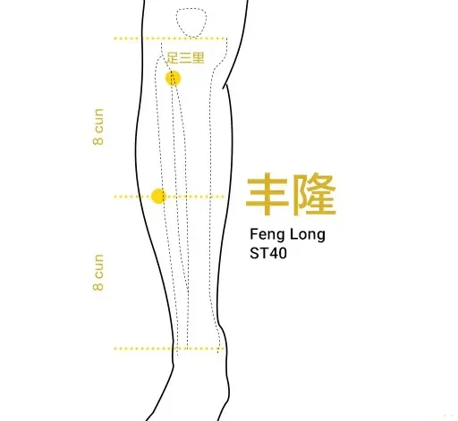 Teaching diagram locating Feng Long ST40 on the outer lower leg