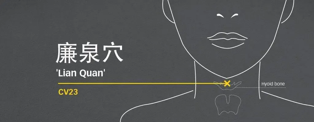 Line diagram locating Lian Quan CV23 above the hyoid on the neck midline