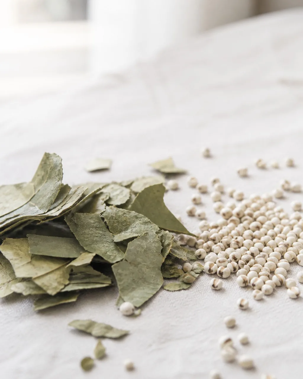 Dried lotus leaf and Chinese barley for soup at PULSE TCM