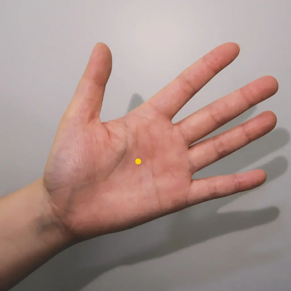 Open palm with Nei Lao Gong PC8 marked between the second and third metacarpals