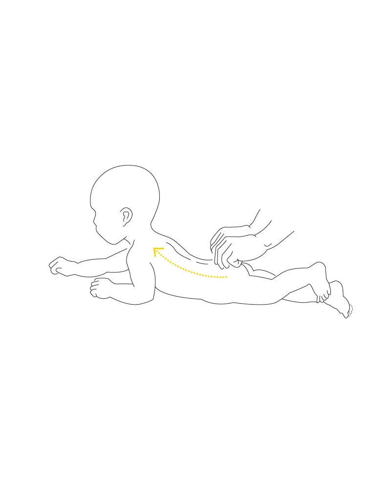 Adult hands performing gentle spinal skin-rolling on a prone infant