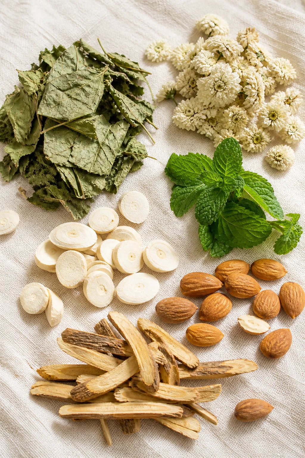 Dried mulberry leaf, chrysanthemum, mint, and apricot kernels for paediatric throat decoction at PULSE TCM