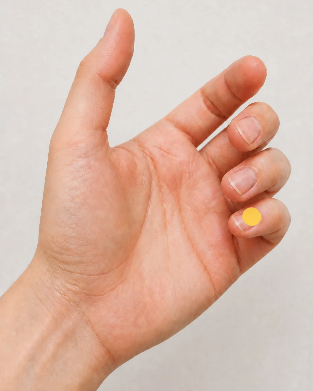 Photorealistic left hand with a yellow circle marking Shao Chong HT9