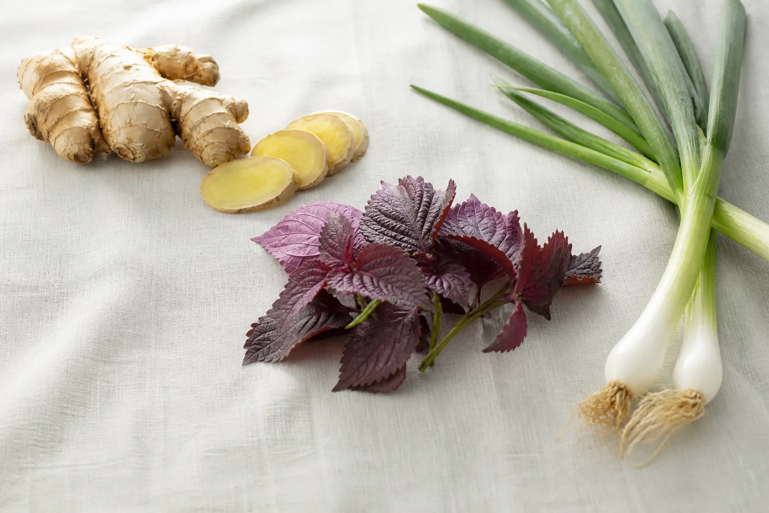 Fresh spring onion, ginger, and purple perilla leaves for tea at PULSE TCM