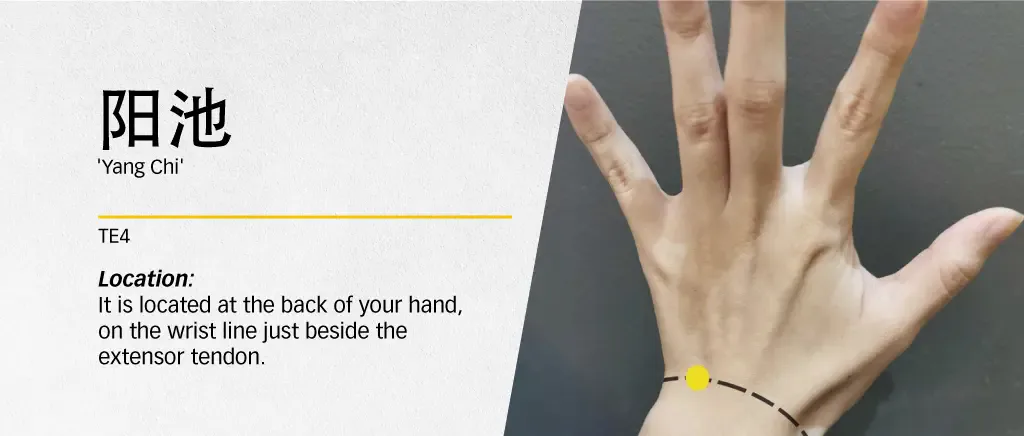 Illustration locating Yang Chi TE4 on the wrist