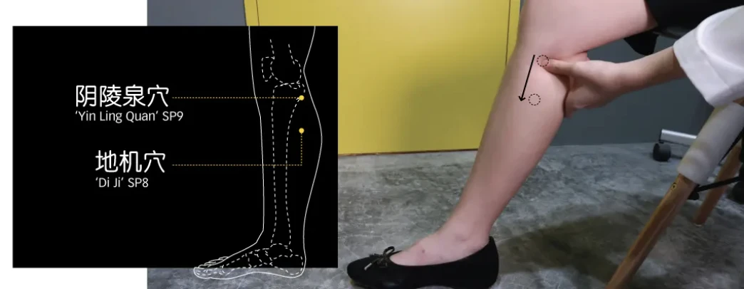 Diagram and photo locating Yin Ling Quan SP9 and Di Ji SP8 on the inner leg