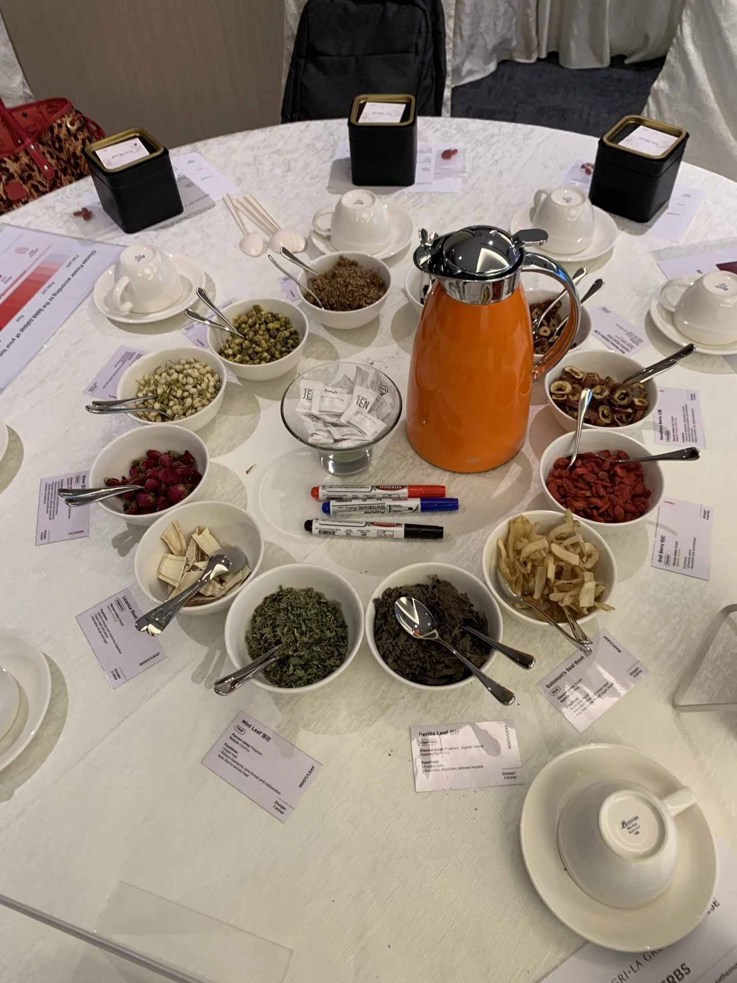Shangri La Group x PULSE at a PULSE TCM corporate session