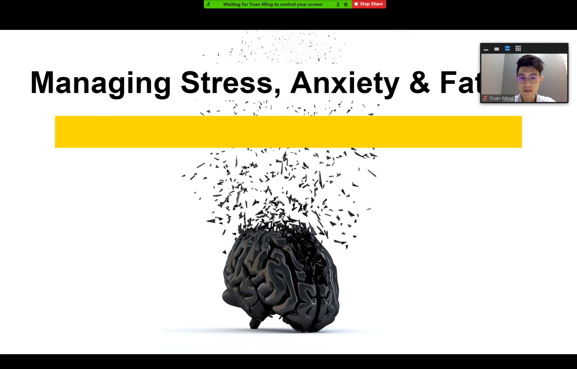 Managing Stress, Anxiety & Fatigue at a PULSE TCM corporate session