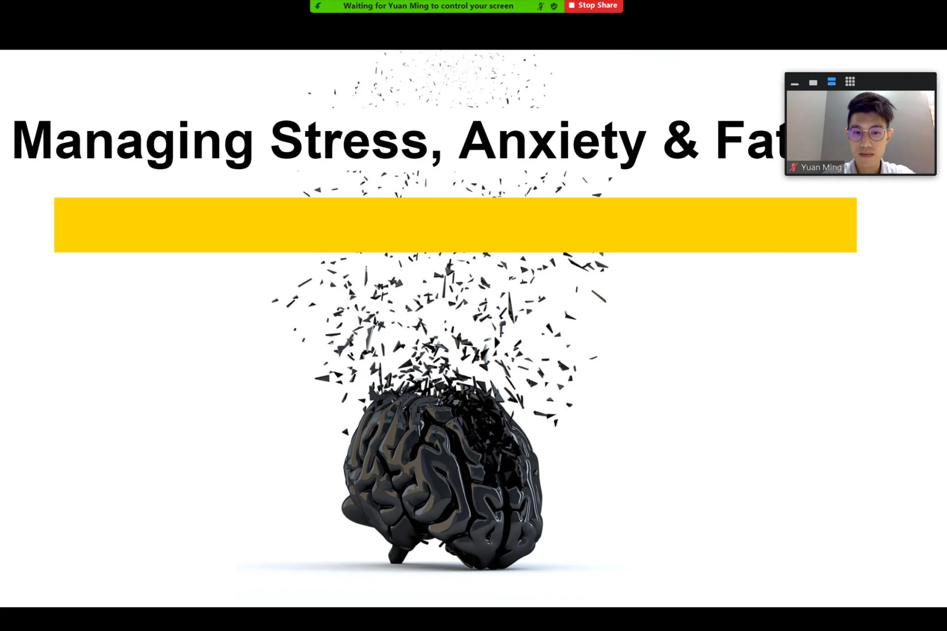 Managing Stress, Anxiety & Fatigue at a PULSE TCM corporate session