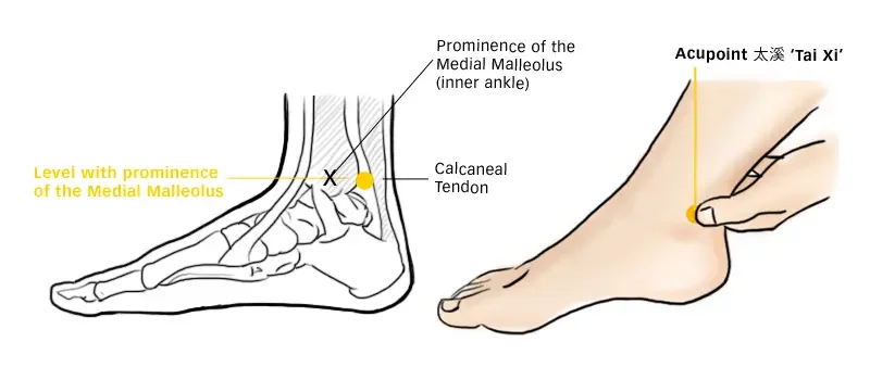 Diagram locating Tai Xi KD3 between inner ankle and Achilles tendon
