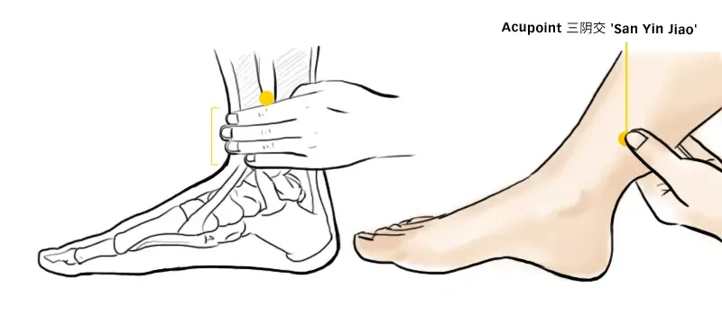 Diagram locating San Yin Jiao SP6 four finger-widths above the inner ankle