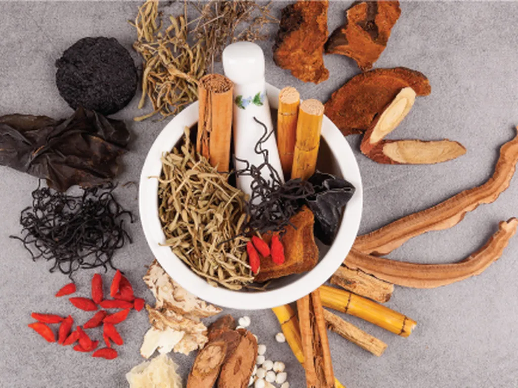 Chinese herbal medicine ingredients for TCM acne management at PULSE TCM