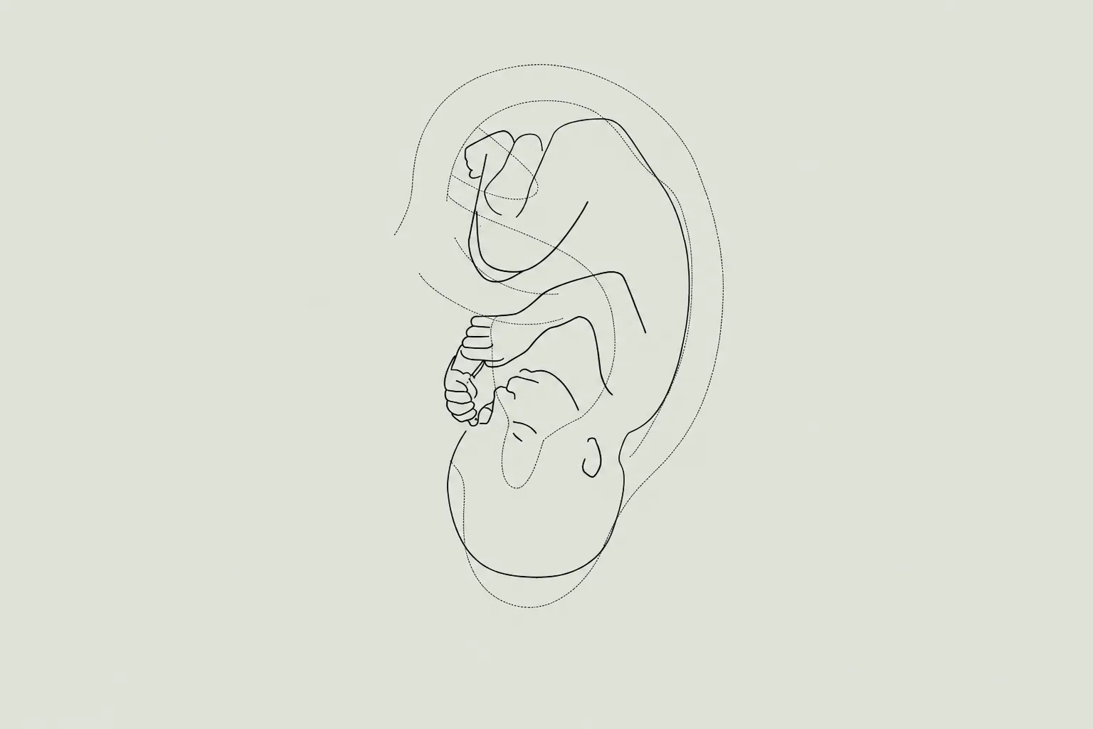 Inverted-fetus map of the outer ear used in auriculotherapy