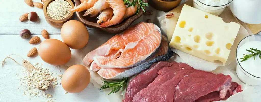Salmon, eggs, dairy, and other protein foods for cancer nutrition support