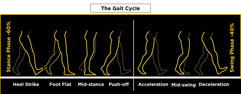 Four gait phases of walking, from heel strike to push-off