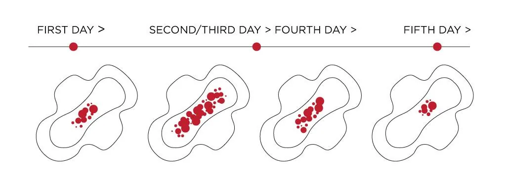 Day-by-day pad illustration of menstrual flow volume across a period
