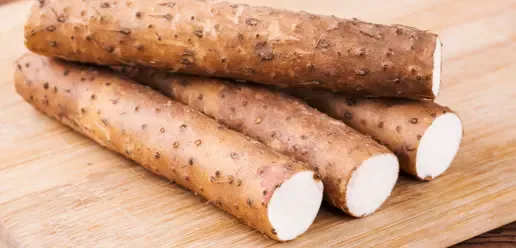 Chinese yam Shan Yao for Spleen and Lung Qi support