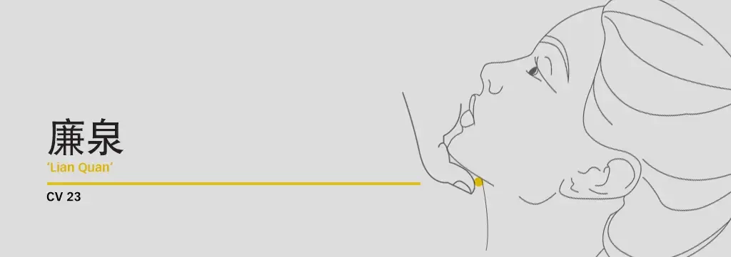 Diagram locating Lian Quan CV23 above the hyoid bone for taste and swallow
