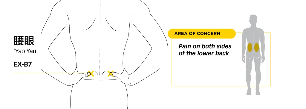 Line diagram locating Yaoyan in the dimples of the lower back