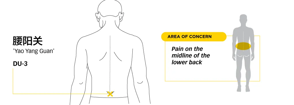 Line diagram locating Yaoyangguan DU3 on the midline of the lower back