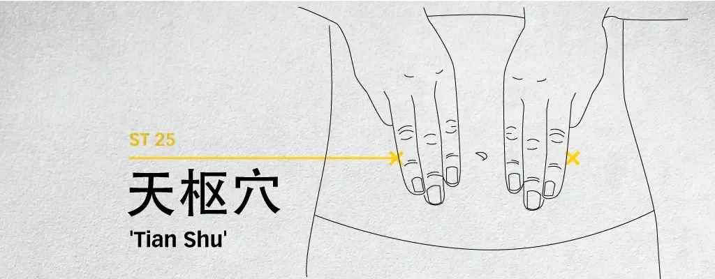 Line diagram locating Tian Shu (ST25) beside the navel
