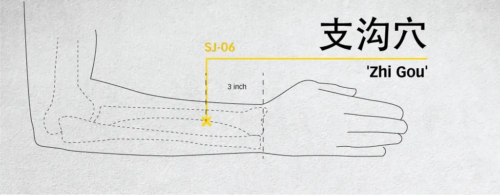 Line diagram locating Zhi Gou SJ6 on the dorsal forearm