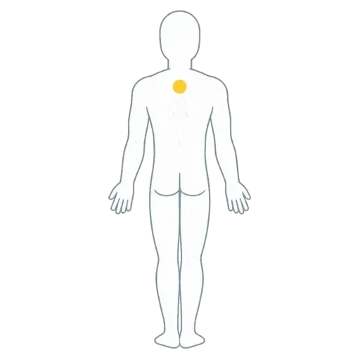 Diagram of the neck and shoulder zone for upper back pain