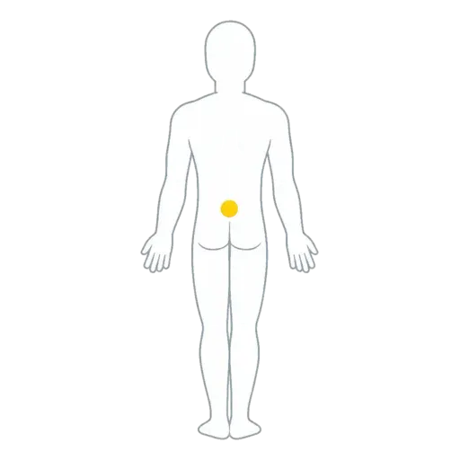 Diagram of the lumbar zone for lower back pain