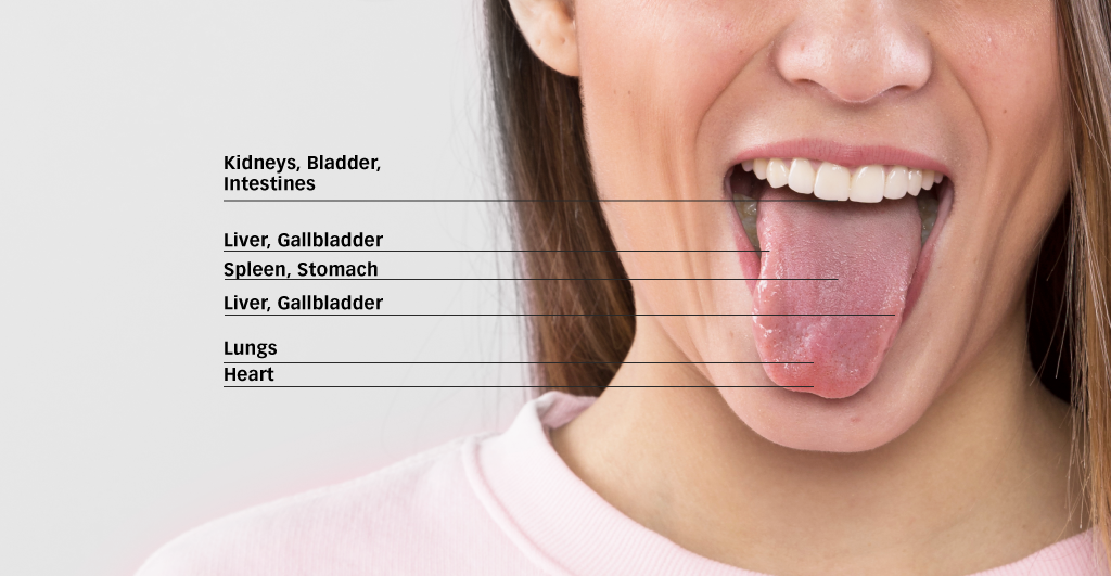 Tongue region map linking tip Heart centre Spleen Stomach sides Liver root Kidneys