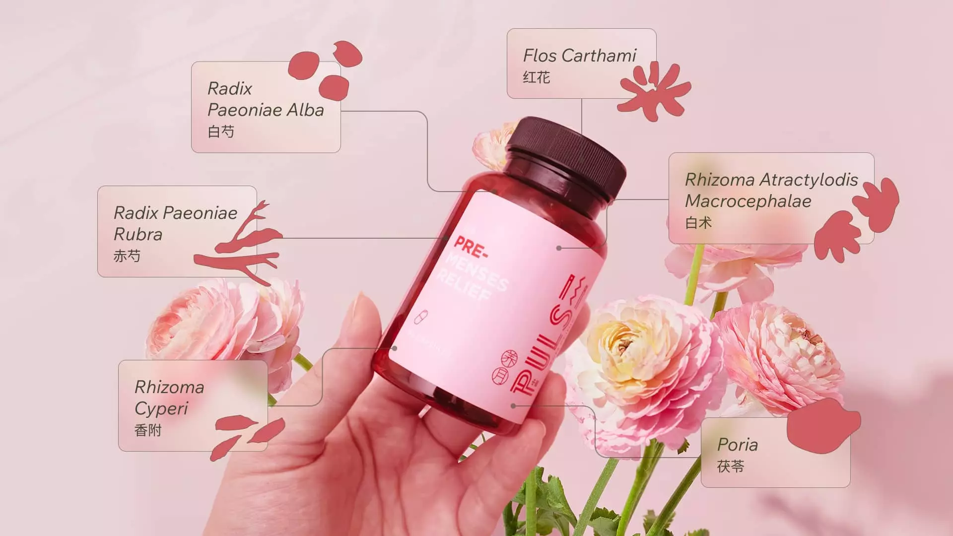 Pre-Menses Relief bottle with six key herbs labelled: white peony, red peony, nutgrass, safflower, atractylodes, and poria