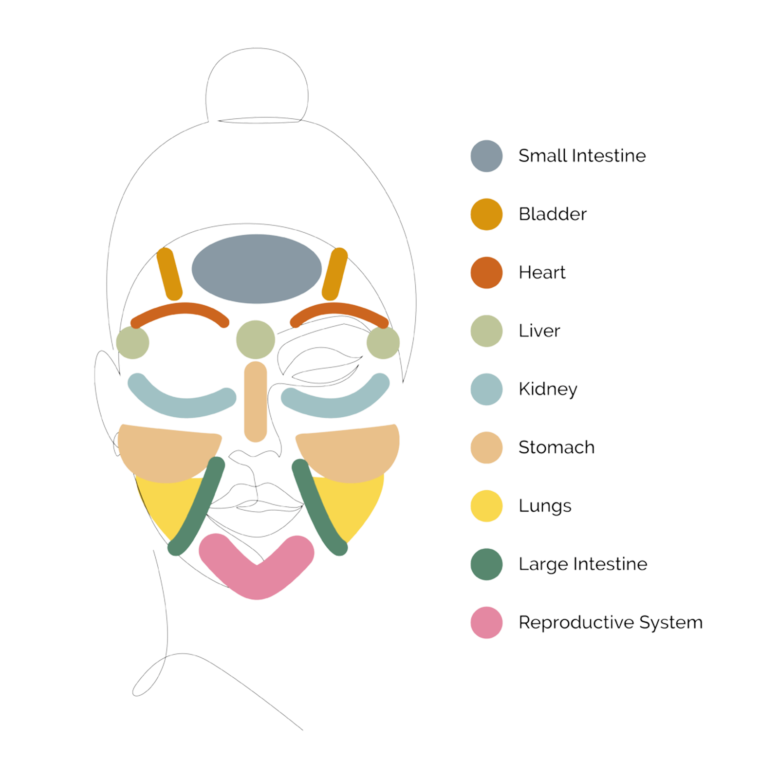 TCM face mapping used in acne pattern assessment at PULSE