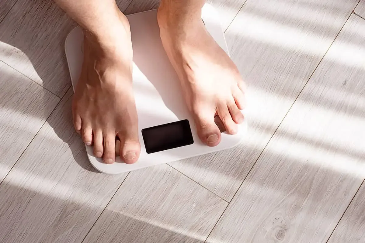 Body composition tracking used in the MR12 metabolic reset programme